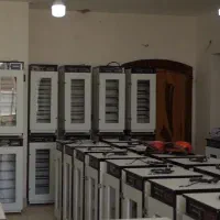 دستگاهo جوجه oکشی،فـول اتومـاتیک /oo