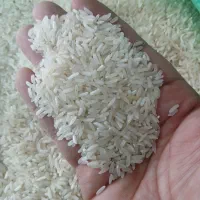 برنج تایلندی دولتی  تنظیم بازار