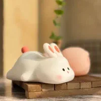 چراغ خواب سیلیکونی و چراغ مطالعه