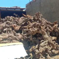 کنده میم.و چوب