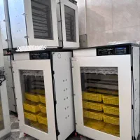 نمایندگی فروش دستگاه جوجه کشی هدایت