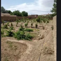 باغ میوه
