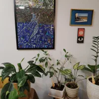 فروش نقاشی ذهنی خاص