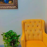 گلهای آپارتمانی مقاوم کیفیت عالی|گل و گیاه طبیعی|تهران, هفت حوض|دیوار