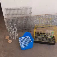 پارک خرگوش گربه سگ حیوانات