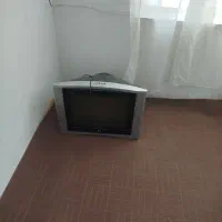 تلویزیون.