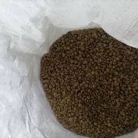 دونه قهوه اسپرسو عمده