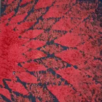 گلیم فرش|گلیم، جاجیم، گبه|قم, ولیعصر|دیوار