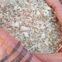 نیازمند کارگر ساده اقا