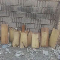 چوب خوشک شده شاتوت