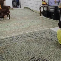 فرش پانصد شانه