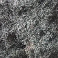 یونجه|لوازم جانبی حیوانات|بوئین زهرا, |دیوار