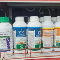 انواع علفکش های گندم