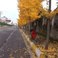 فروش-ویلا-دریاگوشه