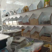 فروش دکر مغازه خشکباری|فروشگاه و مغازه|بوانات, |دیوار