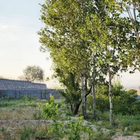 باغ/حصار/اسکو/450متر|فروش خانه و ویلا|تبریز, |دیوار