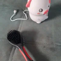 وسایل پت سگ فروشی با تخفیف|لوازم جانبی حیوانات|رشت, لاکان شهر|دیوار