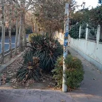 تهاترآپارتمان مهرشهربامغازه کوچک یاچنددانگ ازمغازه|فروش مغازه و غرفه|تهران, میدان ولیعصر|دیوار