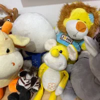 عروسک|اسباب‌بازی بچه|ساری, |دیوار