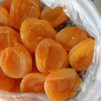 قیصی درجه یک