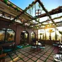 ویتر و کمک اشپز