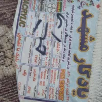 قالی ۱۲متری جفت|فرش|تربت‌حیدریه, بالا ولایت|دیوار