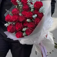 رز هلندی