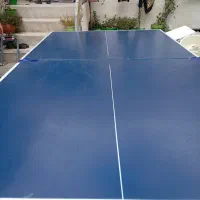 تنیس روی میز در حد نو|ورزشهای توپی|اردبیل, |دیوار