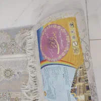 دو عدد فرش ۶متری نو نو فقط ۴ ماه استقاده شده|فرش|دزفول, |دیوار