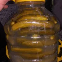 خیارشور ولیموترش