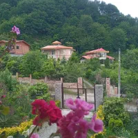 کرایه ویلا جنگلی سویت استخردار روزانه  با مجوز