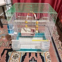 قفس پرنده