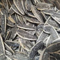 تخمه درجه 1|خوردنی و آشامیدنی|اصفهان, گلزار|دیوار
