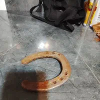 نعل اسب