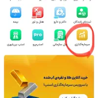 سرمایه گذاری