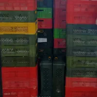 سبد مرغ و بشقابی