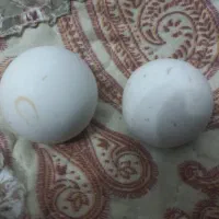 سنگ