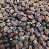 خرما آجیلی یاریزه خاصویی جم