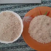 طارم هاشمی کشت اول