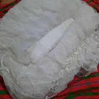 پرده نو سالم