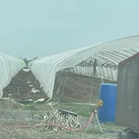 کارگر گلخانه با خانواده اتاق۲۵ متری با وسایل کامل