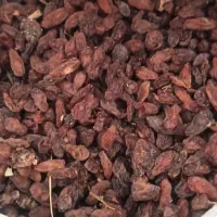 کشمش افتابی (کاشمر)|خوردنی و آشامیدنی|بردسکن, |دیوار