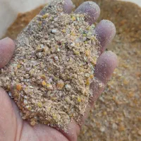 تغذیه مناسب مرغ تخم گذار تخم طلا دان موجود