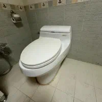 توالت فرنگی توتو ژاپن.شیرالات