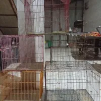 قفس|لوازم جانبی حیوانات|باوی, |دیوار