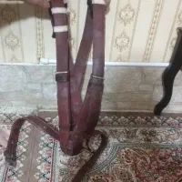 قلق علم کشی (هیکلی)
