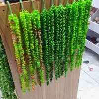 شمشاد آویز     .حراجی.|گل مصنوعی|درگزین, |دیوار