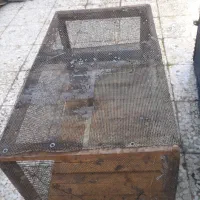 باهنر|حیوانات مزرعه|اهواز, کوی باهنر|دیوار