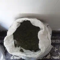 شویدخشک درجه یک