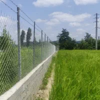 فنس تولید و نصب|خدمات باغبانی و درختکاری|قائم‌شهر, |دیوار